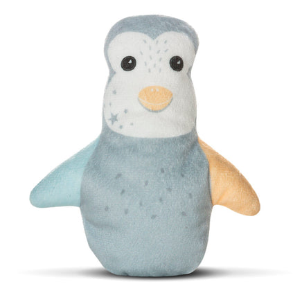 Disko the Penguin